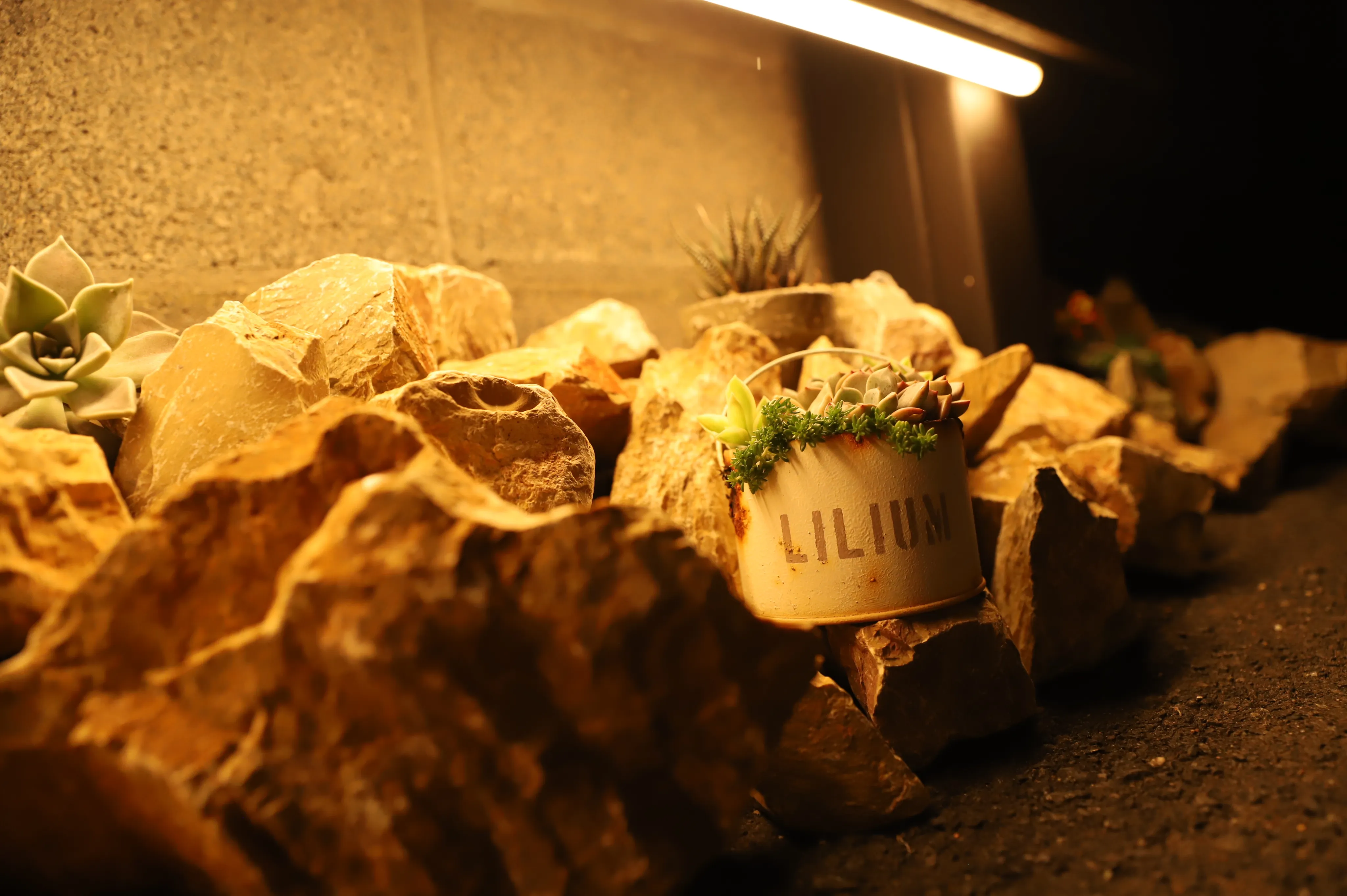 サロンワーク 1