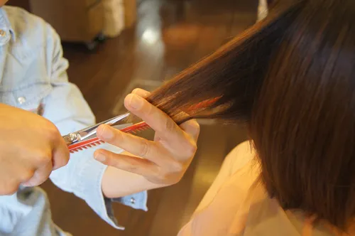 新コースメニュー